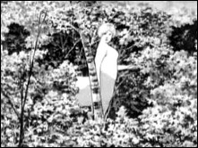 THE CENTAURS-Rialto Productions