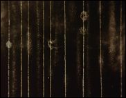 LA PLANÈTE VERTE-Réalisé par Piotr KAMLER