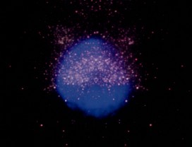 LIGHT - un film de Jordan BELSON (1973) - image