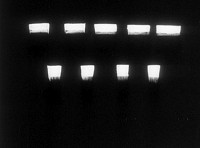 Studie N° 6 (1930 ) : un film de Oskar FISHINGER