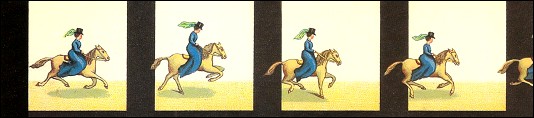 Bande de PRAXINOSCOPE d'Emile REYNAUD : N° 28 - LE STEEPLE-CHASE (3ème série) Bande de PRAXINOSCOPE d'Emile REYNAUD : N° 28 - LE STEEPLE-CHASE (3ème série)
