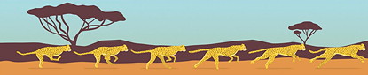 Une bande de Zootrope